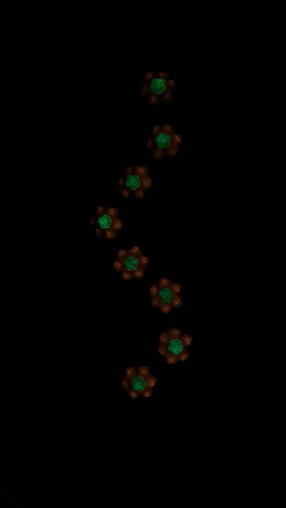 Hancrafted Floral Centipede Wall Hanger